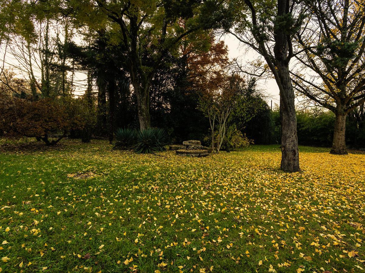 Hotel Le Domaine Du Moulin De Monjous 그라디냥 외부 사진